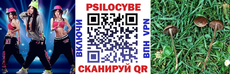 Галлюциногенные грибы Psilocybe  Купить закладки  Сорочинск 